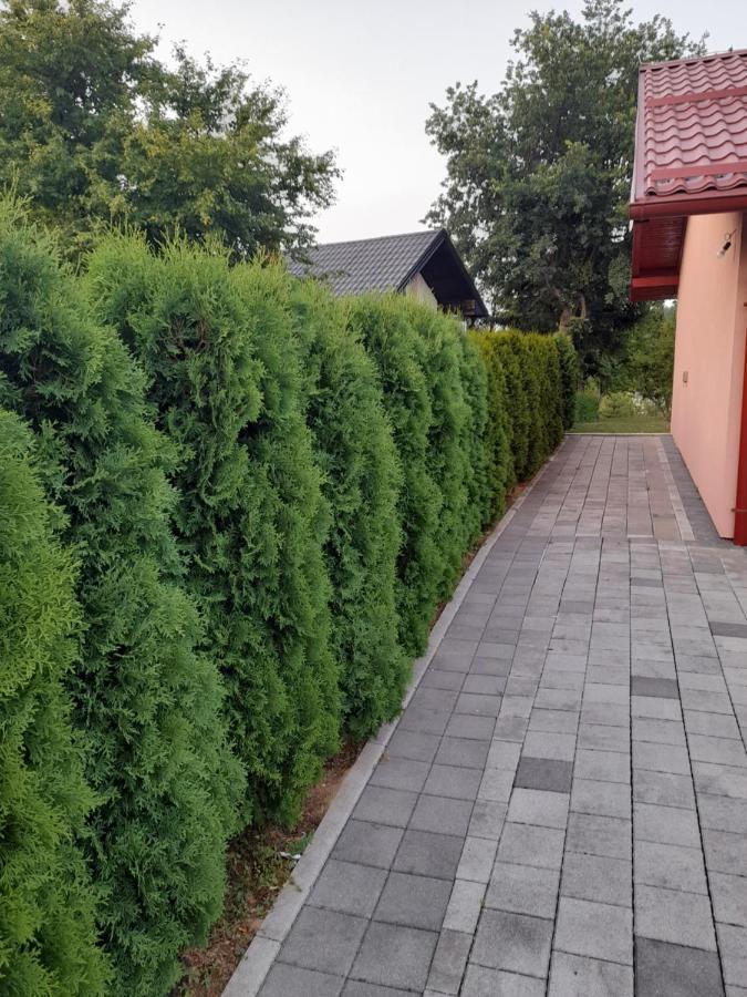 Villa Usivak For Green Quiet Holiday Near Sarajevo#Travellerawards2025 Εξωτερικό φωτογραφία